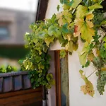 Weingut Landmann Freiburg im Breisgau