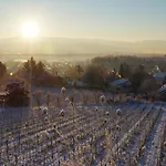 Weingut Landmann