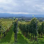 Weingut Landmann *
