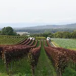 Daire Weingut Landmann Freiburg im Breisgau