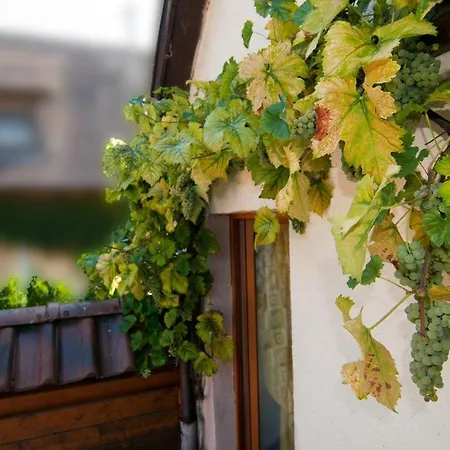 Weingut Landmann Freiburg im Breisgau