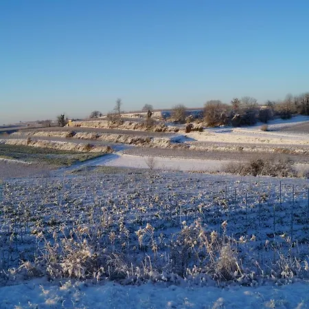 Weingut Landmann Daire Freiburg im Breisgau