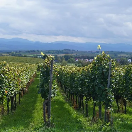 Weingut Landmann *