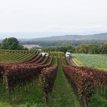 Appartamento Weingut Landmann Friburgo in Brisgovia