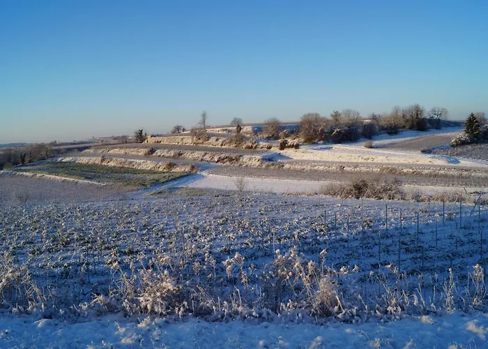 Weingut Landmann Appartement Fribourg im Breisgau