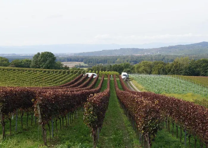 Appartamento Weingut Landmann Friburgo in Brisgovia